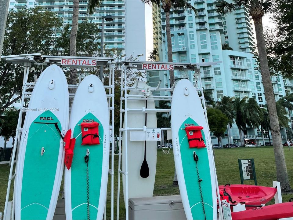 Paddle Boards rentals