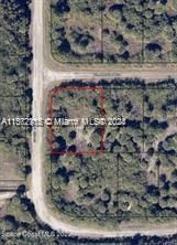 For Sale: $39,999 (0.29 acres)