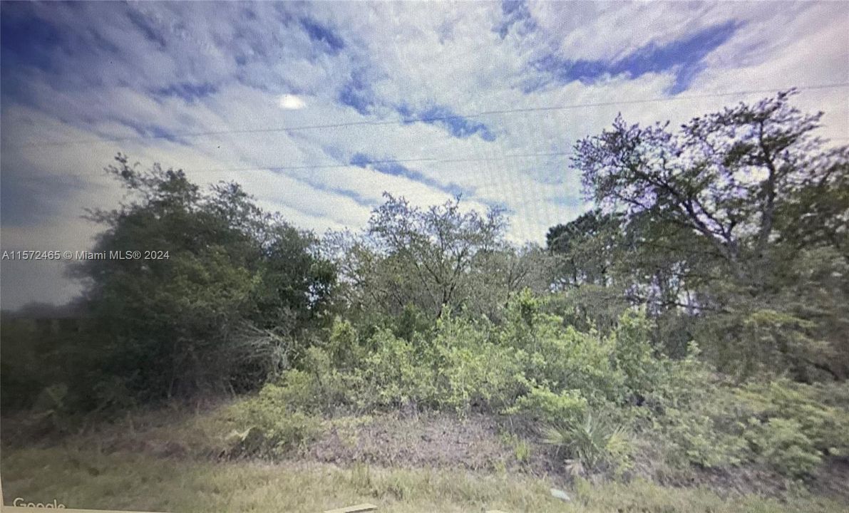 For Sale: $40,000 (1.25 acres)