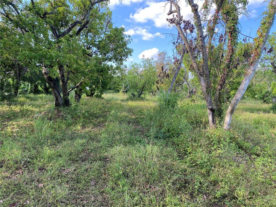 For Sale: $795,000 (5.00 acres)