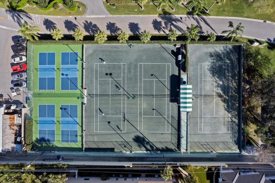 Many tennis and pickleballs lite courts