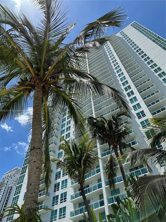 Building View from Pool Area