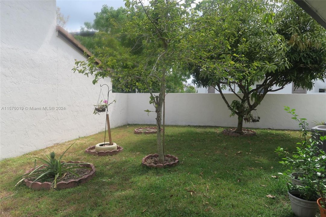 Private Yard with fruit trees