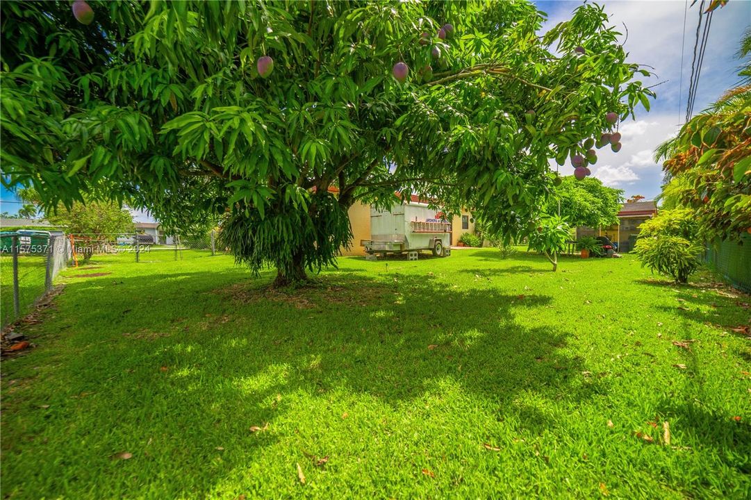 Active With Contract: $575,000 (4 beds, 2 baths, 2569 Square Feet)