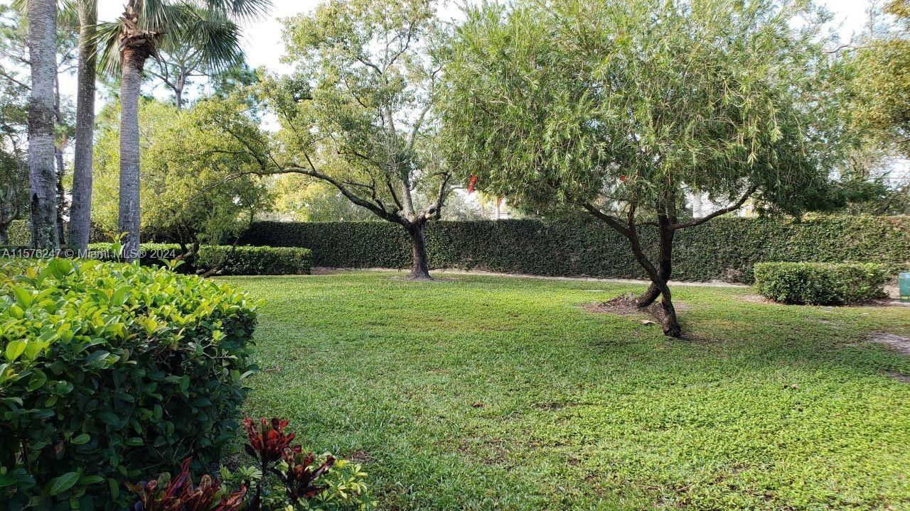 Yard