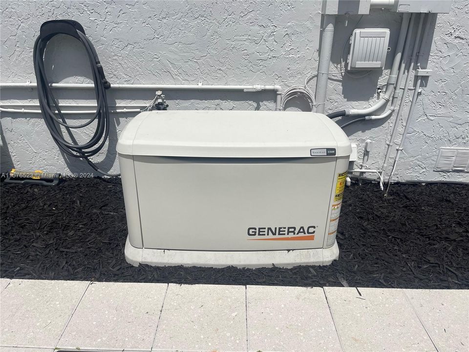 Whole house generator