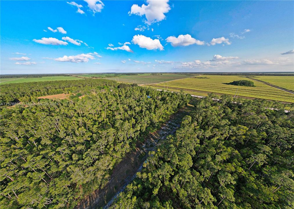 For Sale: $135,000 (2.50 acres)