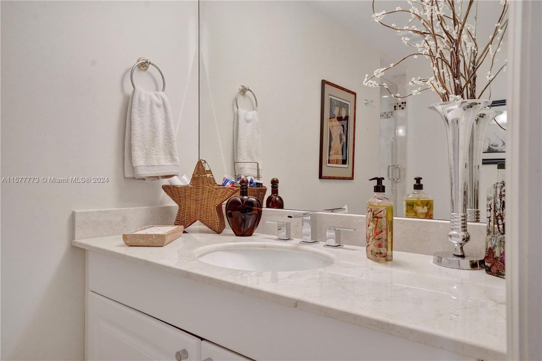 Guest bathroom/3rd bathroom.