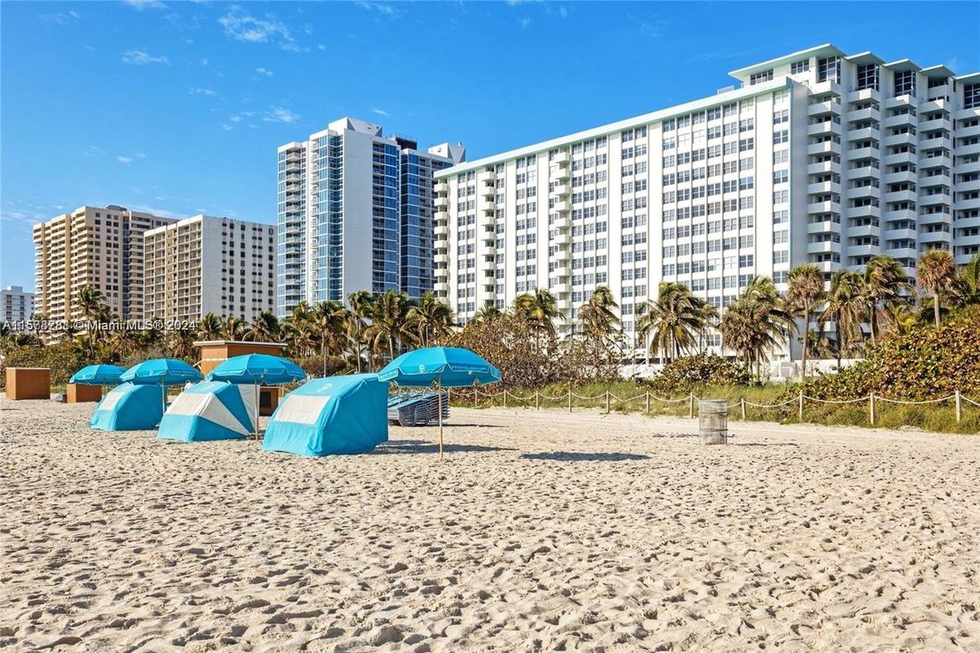 Active With Contract: $2,950 (1 beds, 1 baths, 726 Square Feet)