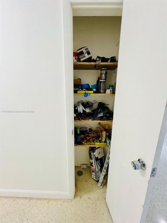 aditional closet in hall