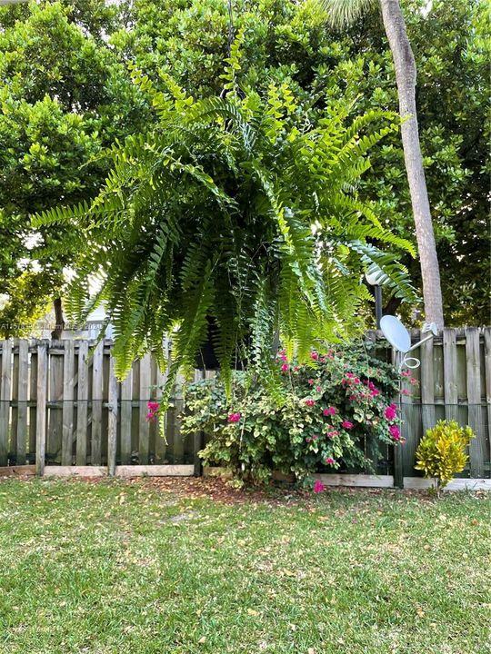 Недавно арендовано: $2,250 (2 спален, 1 ванн, 648 Квадратных фут)