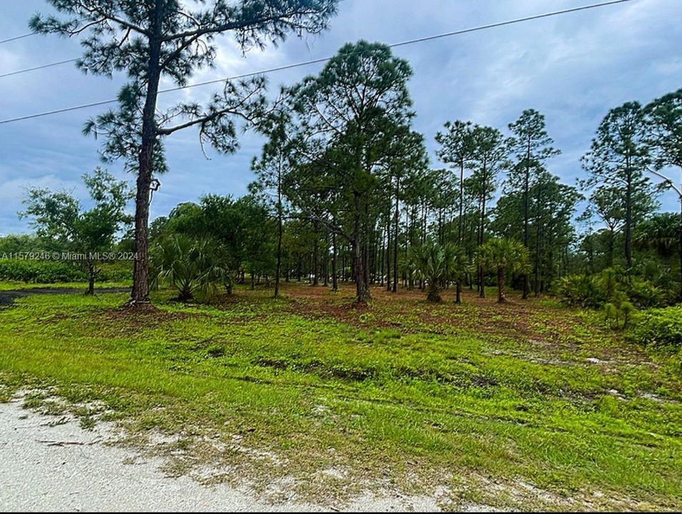 Active With Contract: $45,000 (1.25 acres)