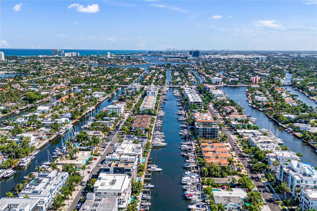 Aerial of the neighborhood