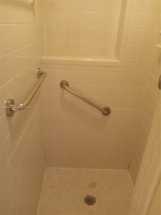 Shower in Cabana Bath which is part of the addition.