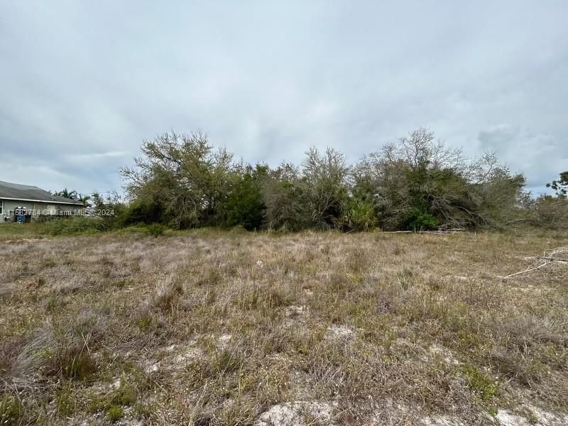 For Sale: $26,000 (0.25 acres)