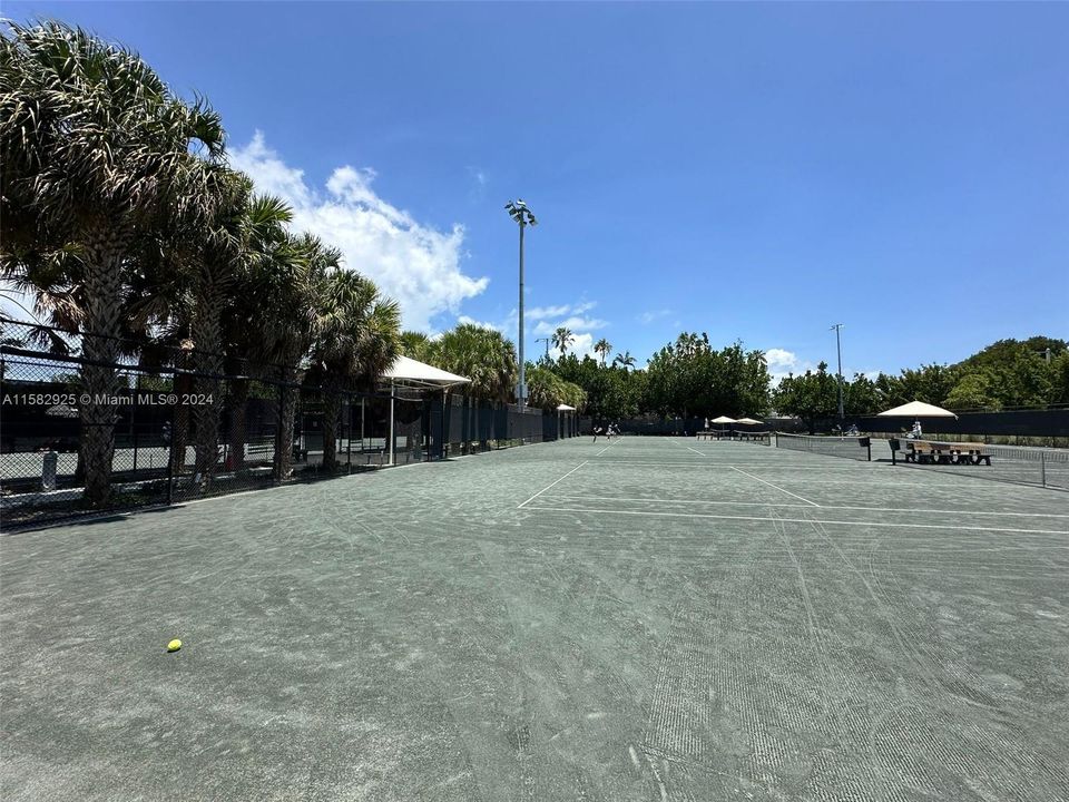 Tennis Flamingo Park