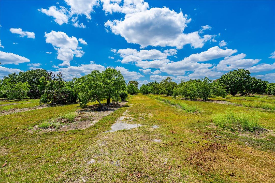 For Sale: $545,000 (2.50 acres)