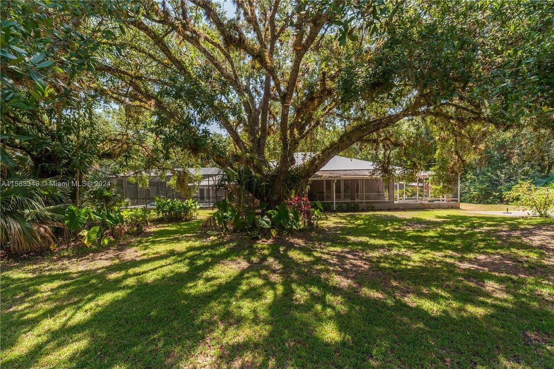 1170 Firebrand Court, LaBelle, FL 33935 - 3BR/2.5BA Custom Pool Home on 5.44 Acres