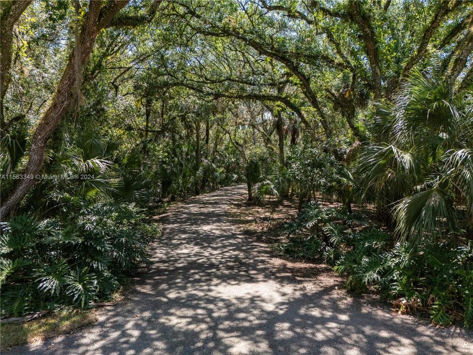 1170 Firebrand Court, LaBelle, FL 33935 - 3BR/2.5BA Custom Pool Home on 5.44 Acres