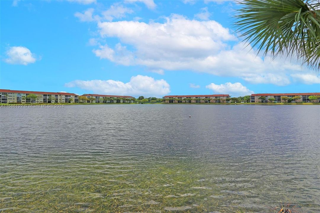 PEACEFUL LAKEVIEW WITH CALM WATERS