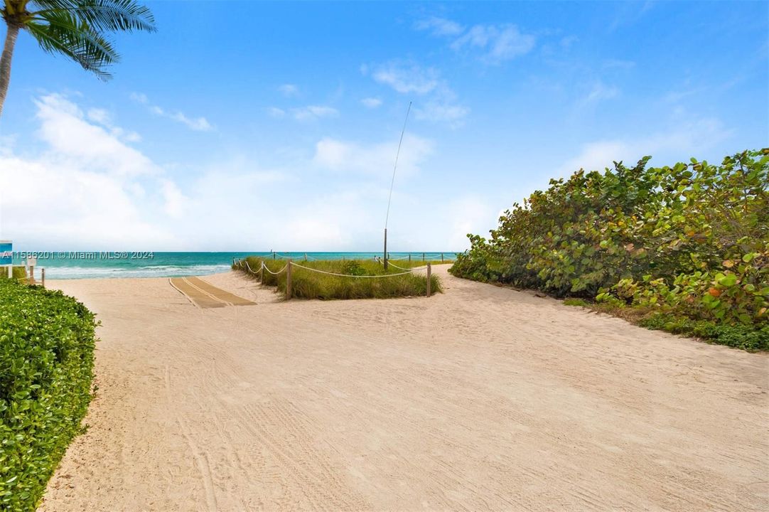 Beach Path