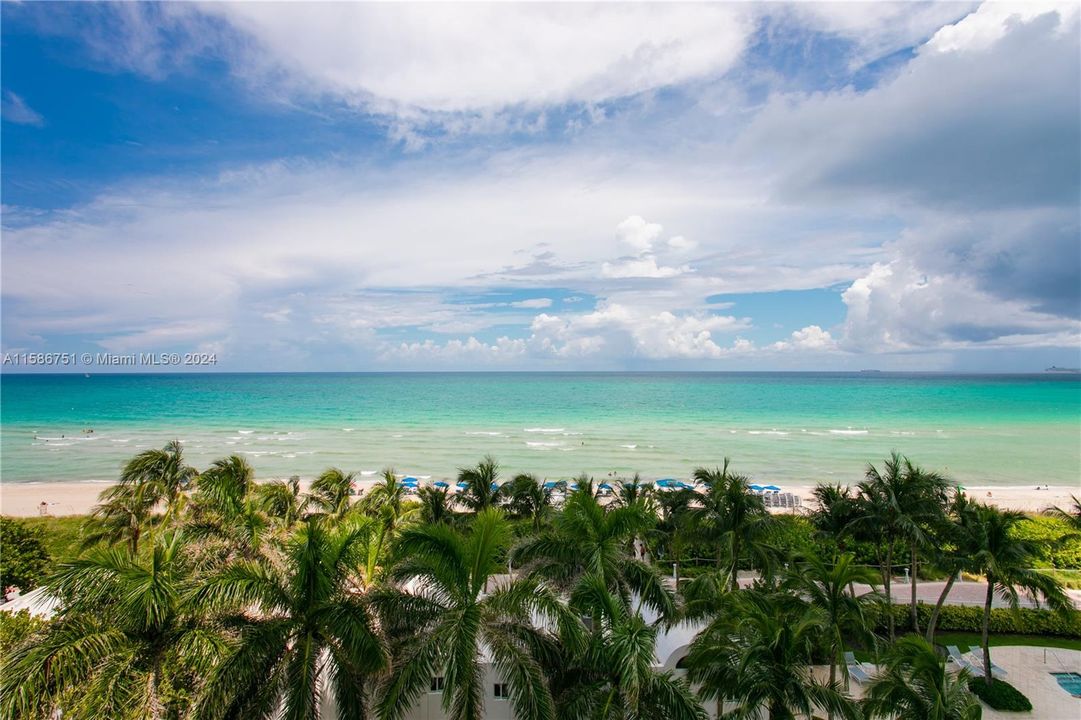 最近租的: $3,200 (1 贝兹, 1 浴室, 808 平方英尺)