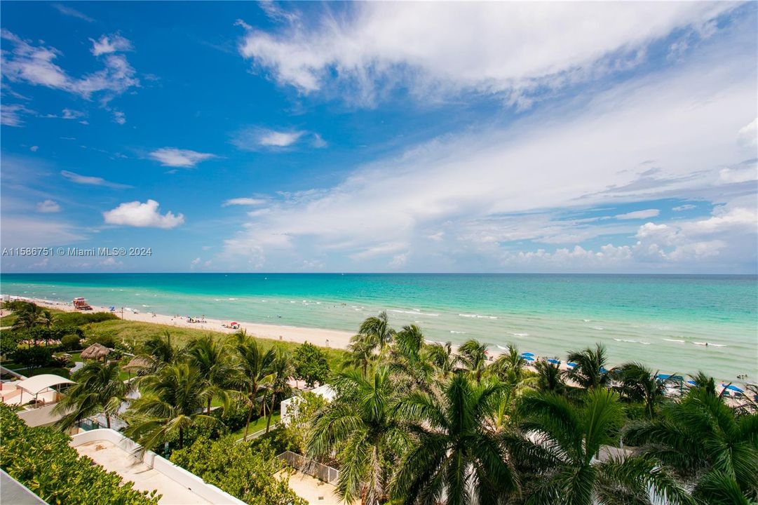 最近租的: $3,200 (1 贝兹, 1 浴室, 808 平方英尺)