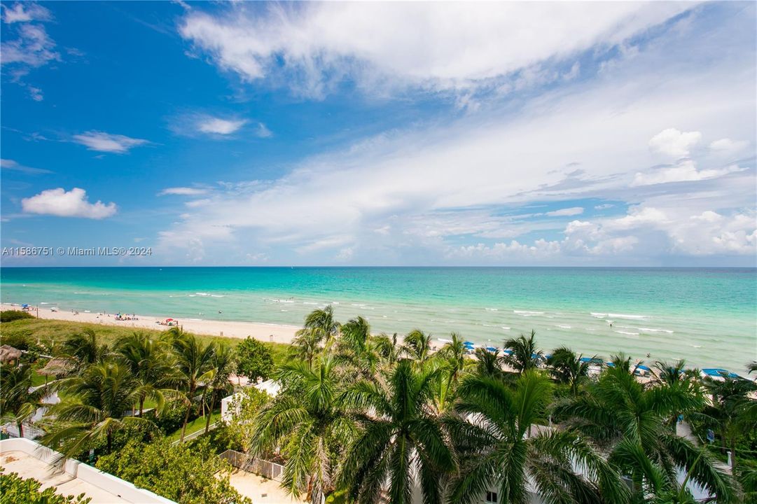 最近租的: $3,200 (1 贝兹, 1 浴室, 808 平方英尺)