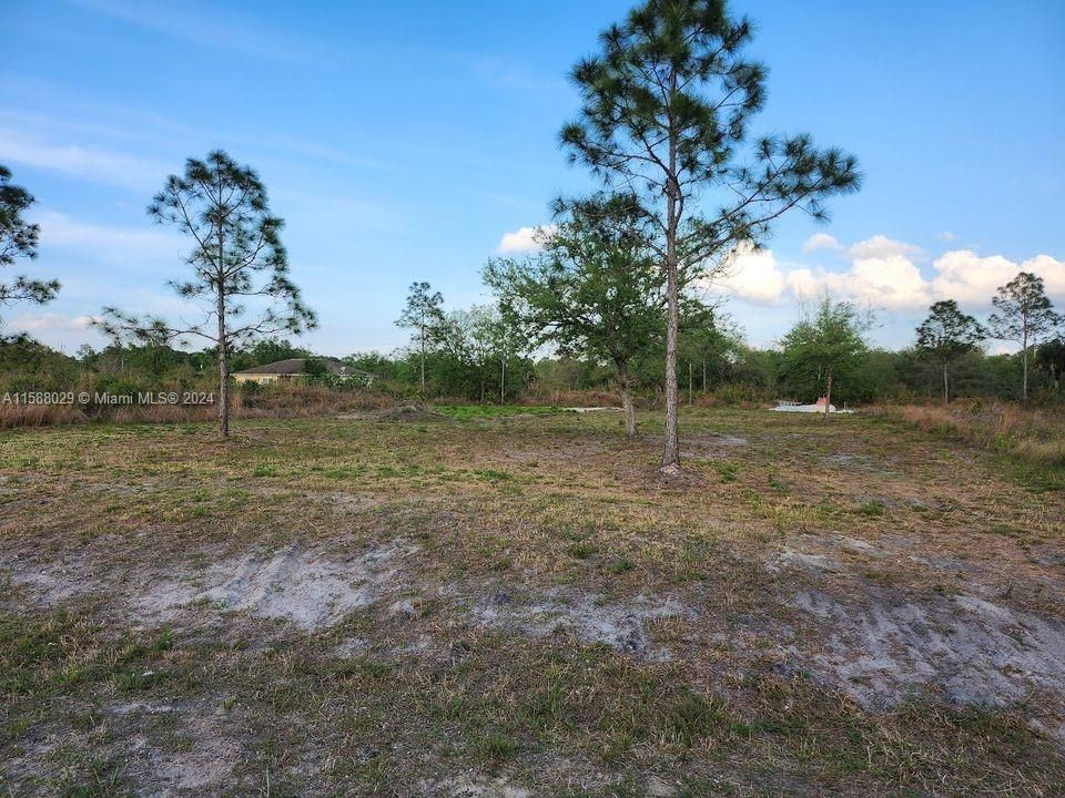 Cleared Lot