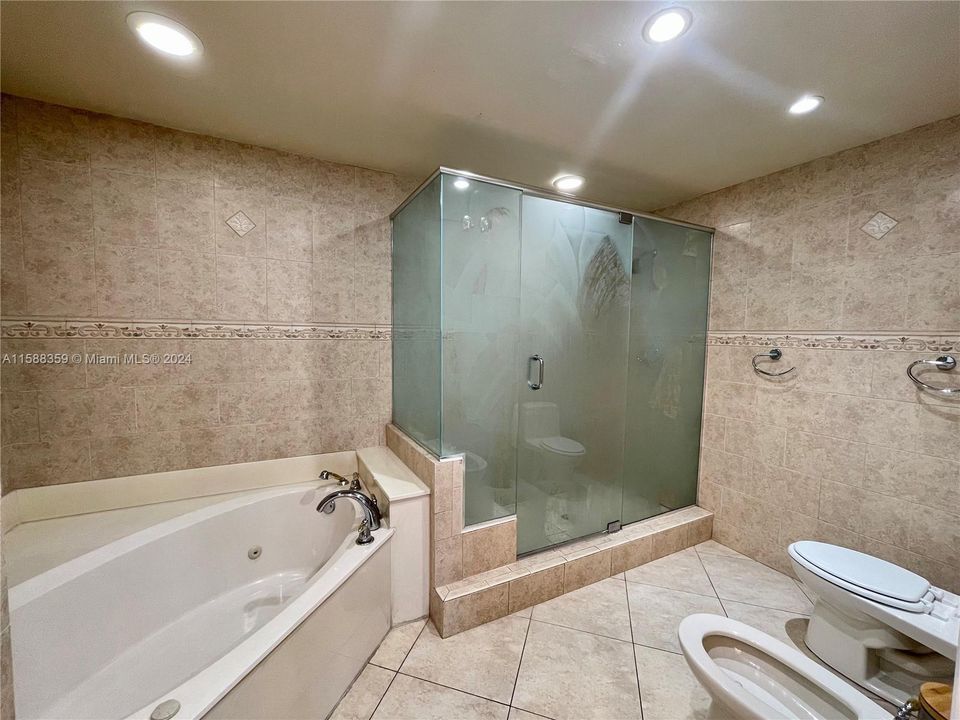 Jet tub, bidet very elegant bathroom