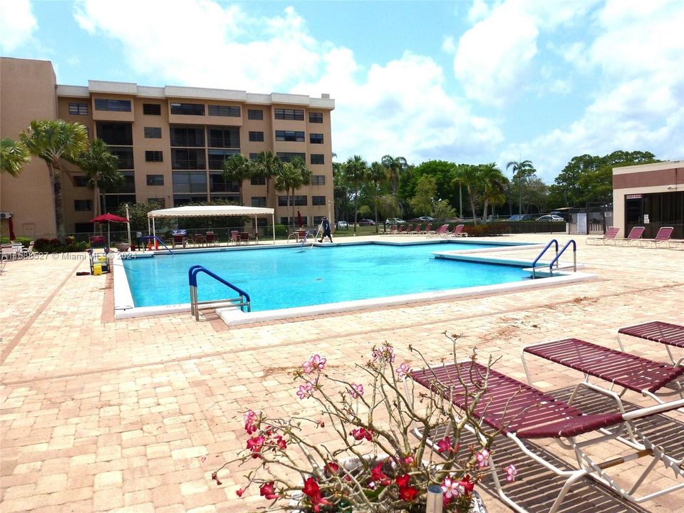 Main pool area