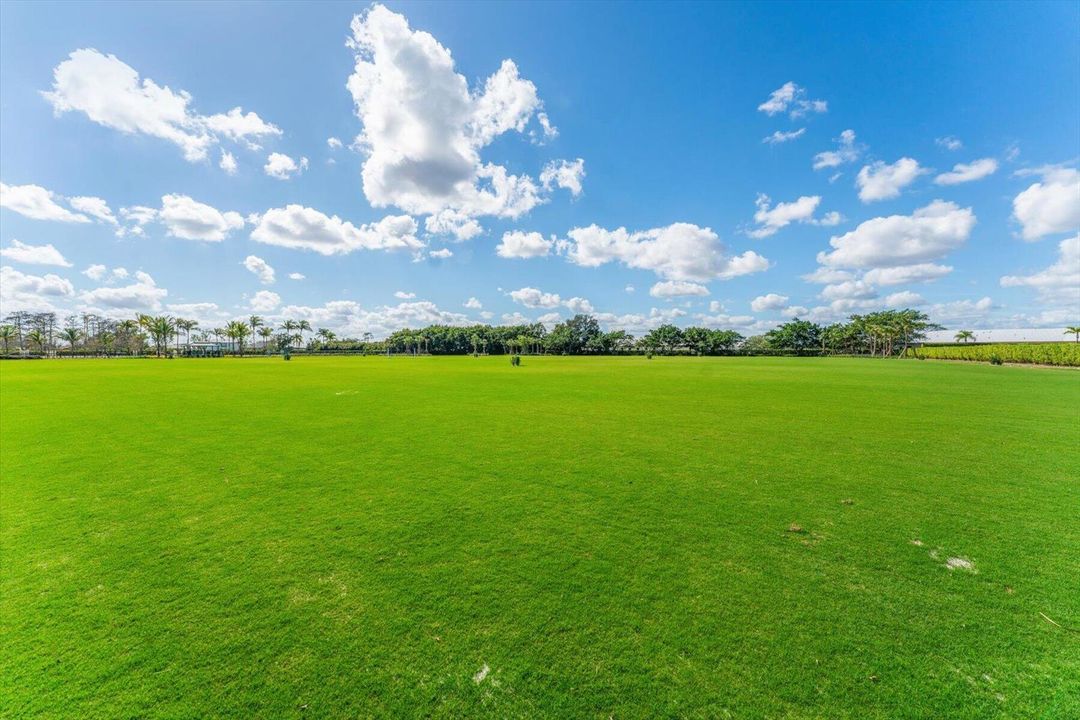 60-DSC02694