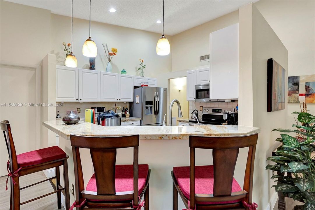 kitchen and bar counter