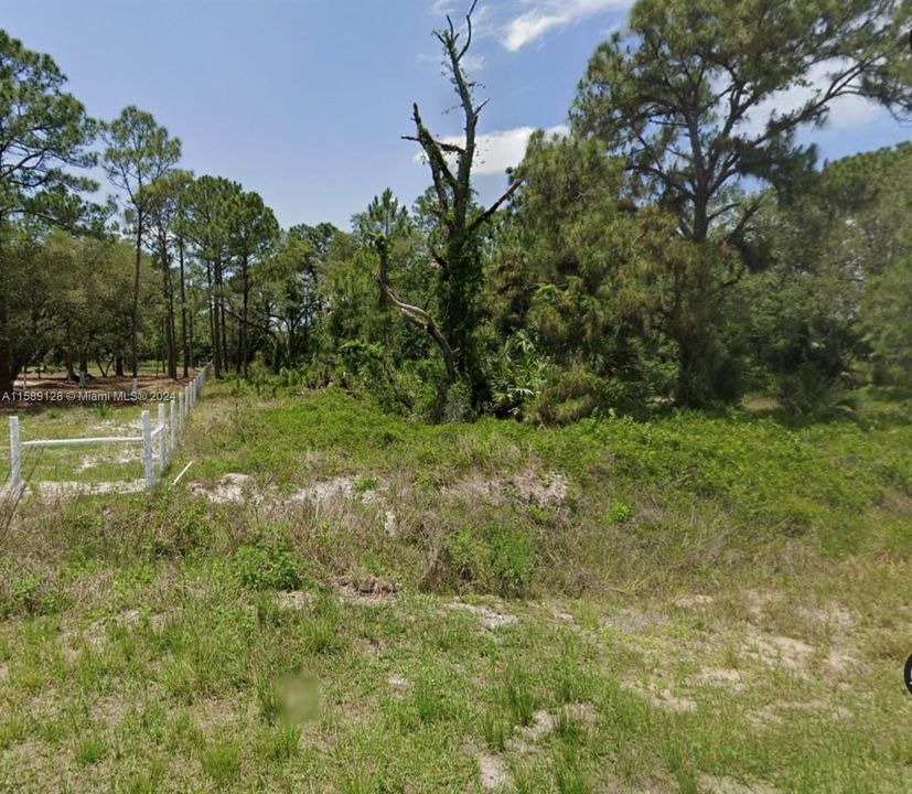 En Venta: $49,900 (1.25 acres)