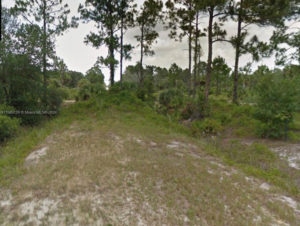 For Sale: $49,900 (1.25 acres)