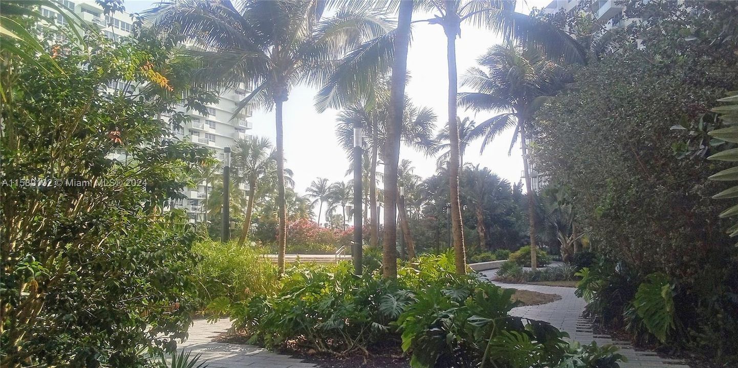 tropical courtyard