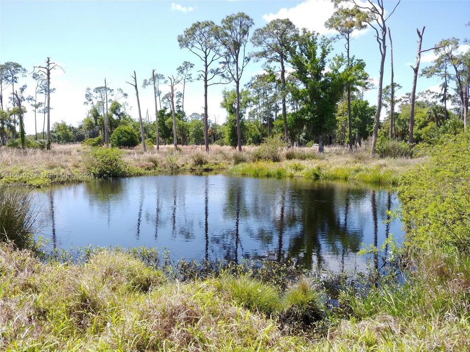 Недавно продано: $695,000 (20.21 acres)