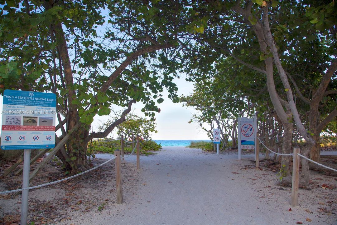 Path in front of Carlisle leading to the beach