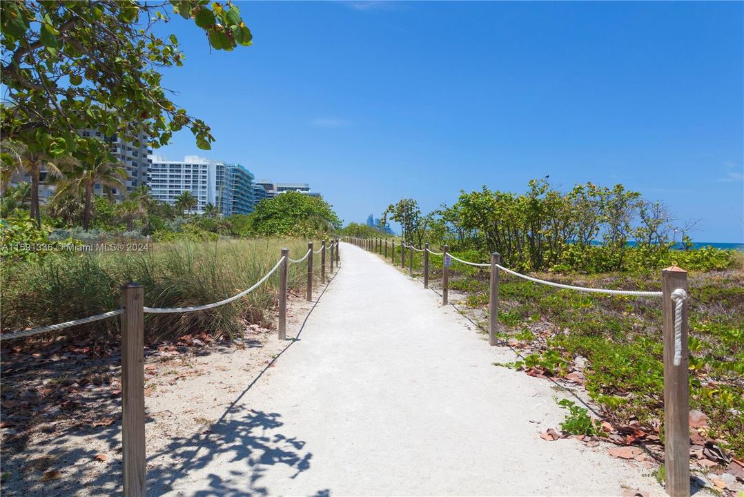 Beach path north towards Bal Harbour