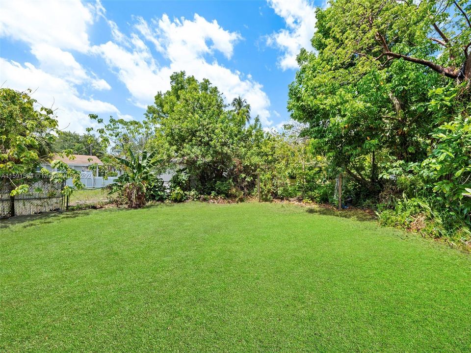 Large yard on the back of the bakc house.