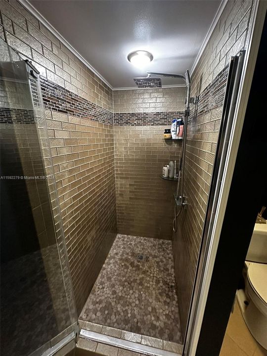 Guest bath shower