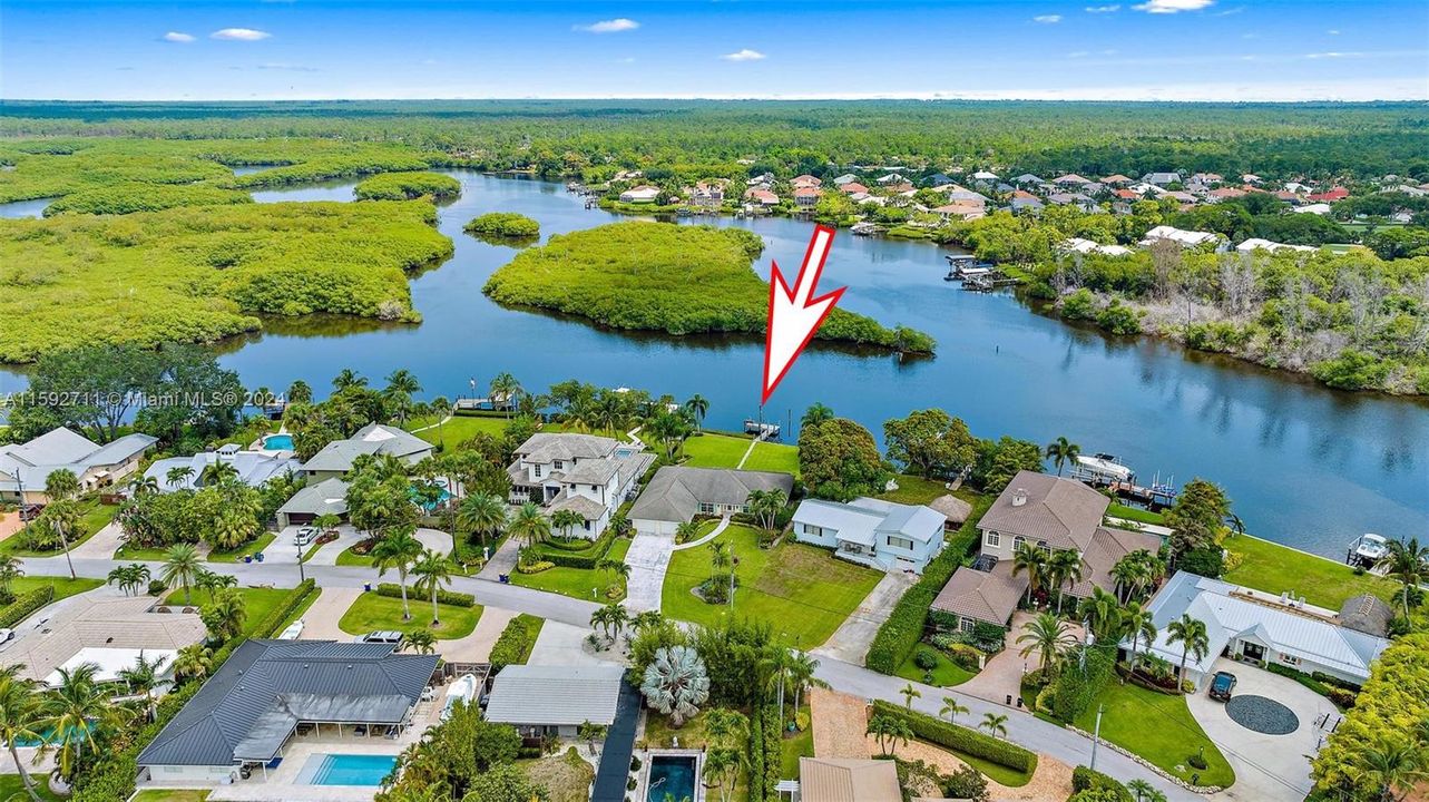 Beautiful preserve view on the Loxahatchee River.