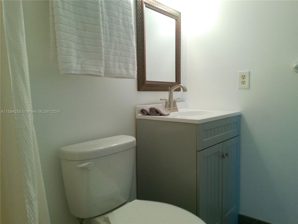 Renovated Primary Bathroom