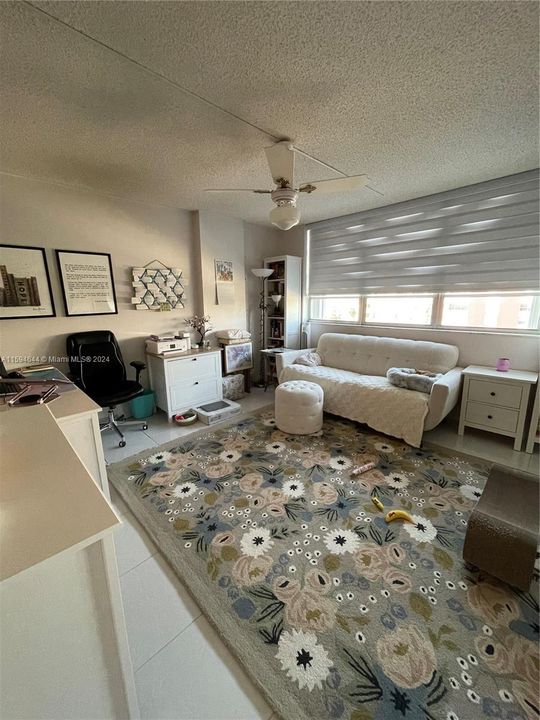 Second bedroom/office