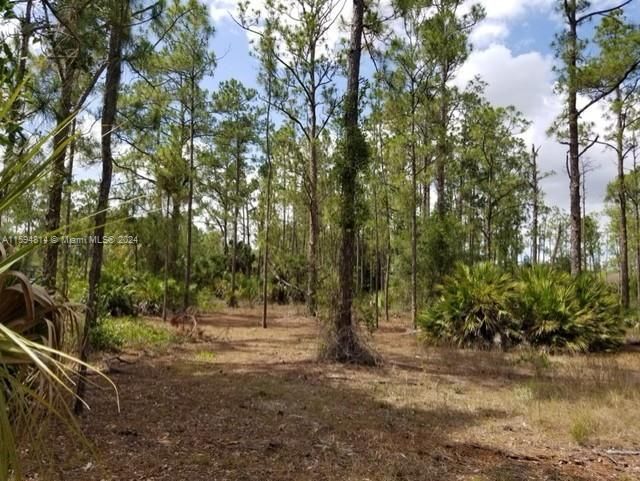 Active With Contract: $28,000 (0.50 acres)