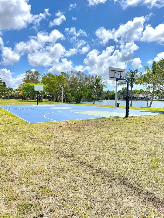 Basketball court