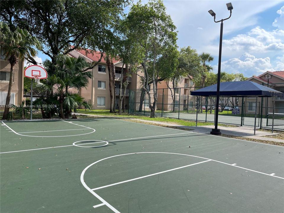 Basketball court