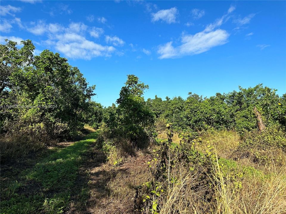 En Venta: $725,000 (5.00 acres)