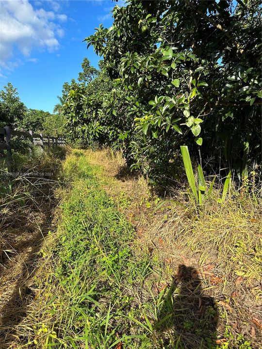 На продажу: $725,000 (5.00 acres)