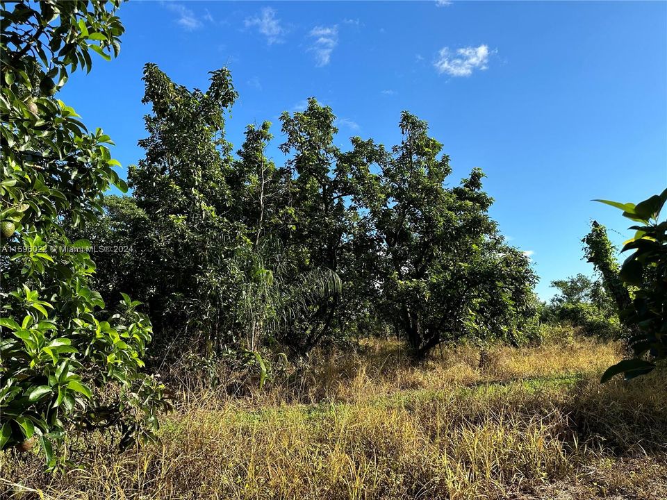 En Venta: $725,000 (5.00 acres)